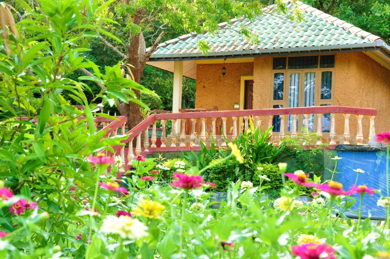טיסמהרמה Kodigahawewa Forest Resort מראה חיצוני תמונה
